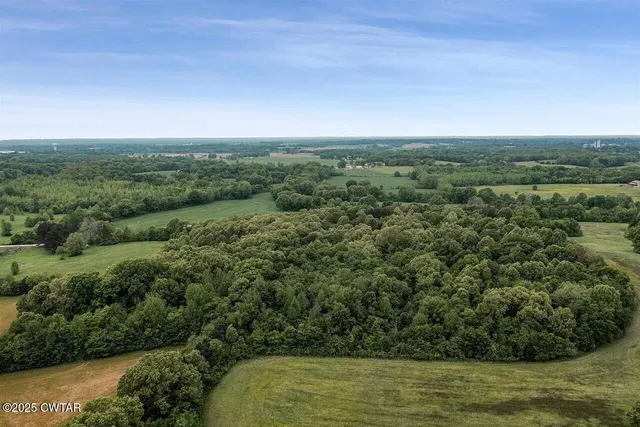 a view of a field of grass and trees