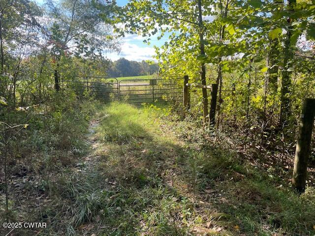 105 Booth Road Trenton, TN 38382 - Photo 7 of 21 a view of lake with green space