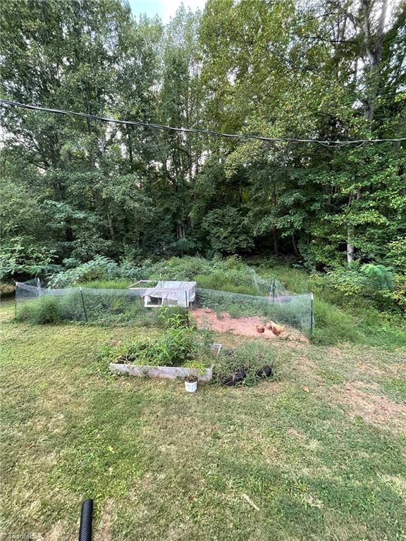 559 Mineral Springs Road Pelham, NC 27311 - Photo 18 of 22 Gallery Image 18