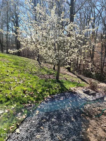 $530,000 | 3416 St Andrews Drive, Baneberry, TN 37890