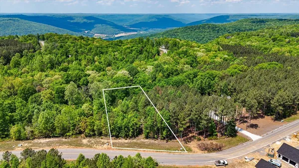 $55,000 | 0 Crockett Pointe Point, Unit LOT 401, Jasper, TN 37347