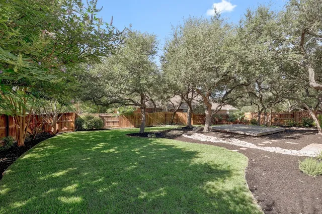a view of a park with large trees