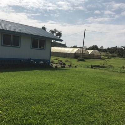 17-564 Volcano Road Kurtistown, HI 96760 - Photo 2 of 18 Gallery Image 2