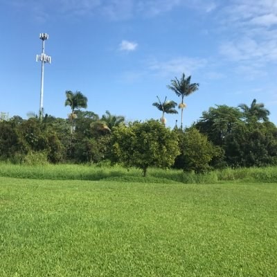 17-564 Volcano Road Kurtistown, HI 96760 - Photo 3 of 18 Gallery Image 3