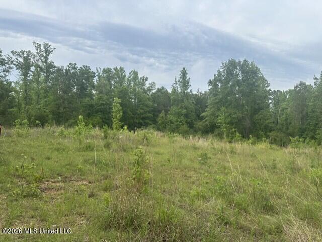 1048 Williamson Road Wesson, MS 39191 - Photo 2 of 11 land 10