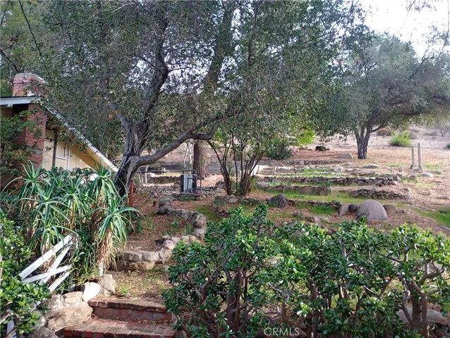 a view of a yard with plants and a bench