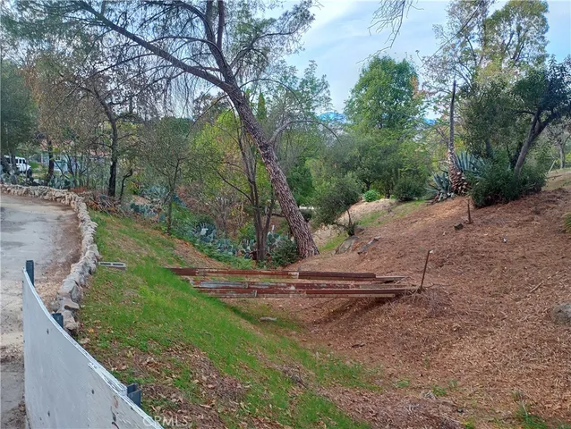 a view of a backyard