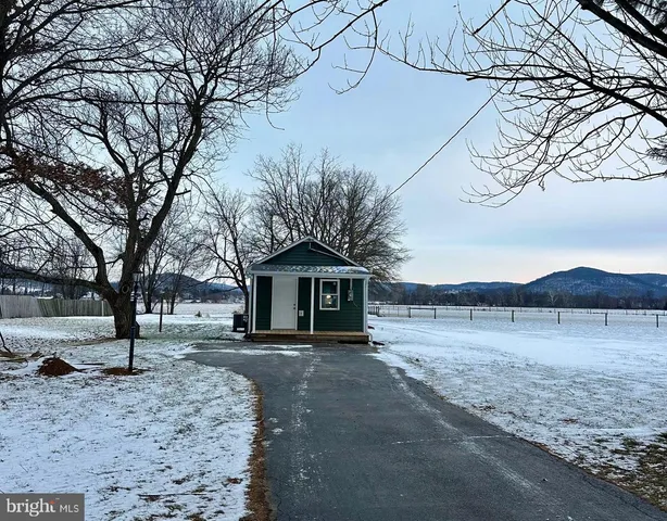 a view of a yard with a tree
