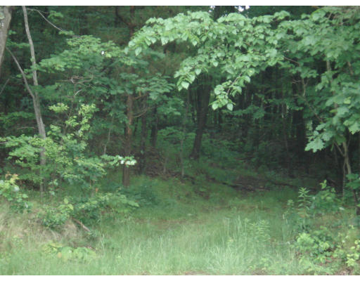 191-195 Scotland Road Newbury, MA 01951 - Photo 1 of 1 Gallery Image 1