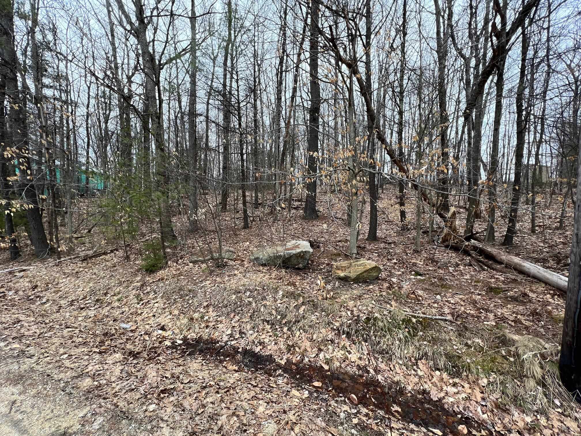 72 A Varney Road Center Barnstead, NH 03225 - Photo 3 of 8
