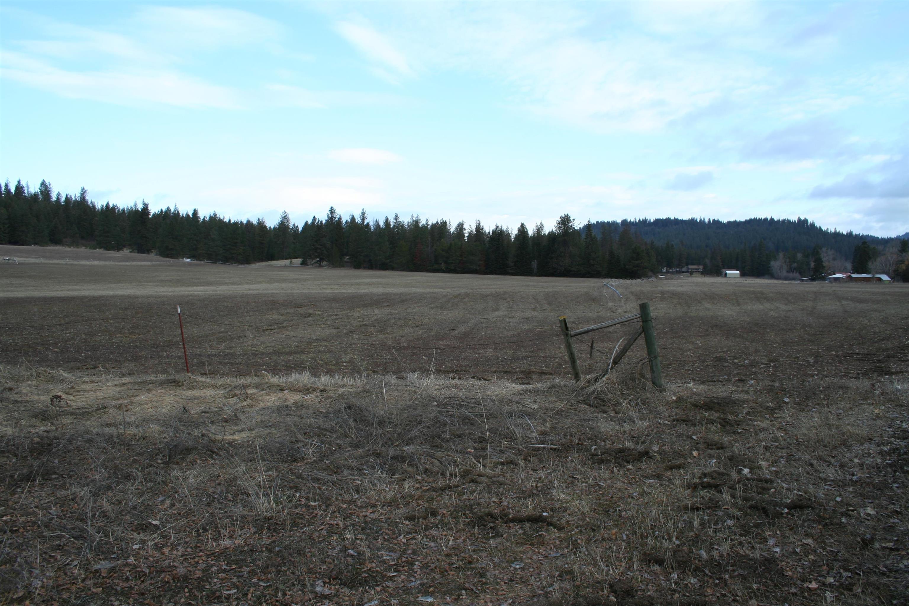 Xx Old State Road Newport, WA 99156 - Photo 4 of 9