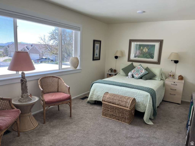 188 East 4635th Street North Provo, UT 84604 - Photo 30 of 40