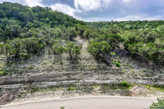 a view of a yard with a street