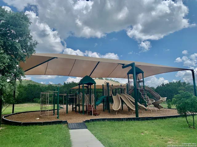 a room with lots of trees and furniture