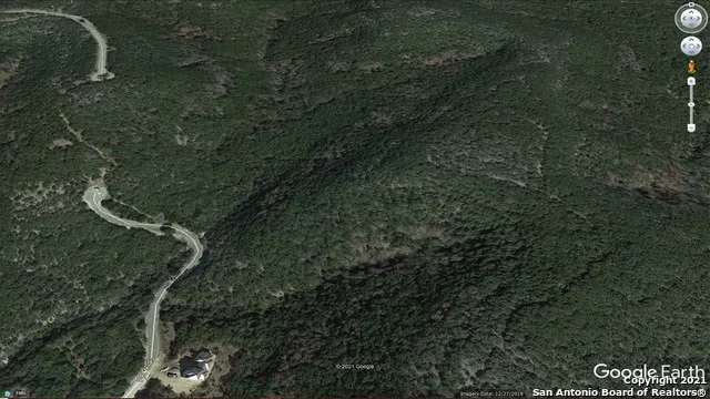 a view of a field with plants and trees