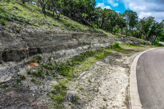 a view of a green field with lots of bushes