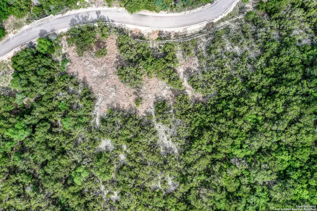 a view of a city with lush green forest