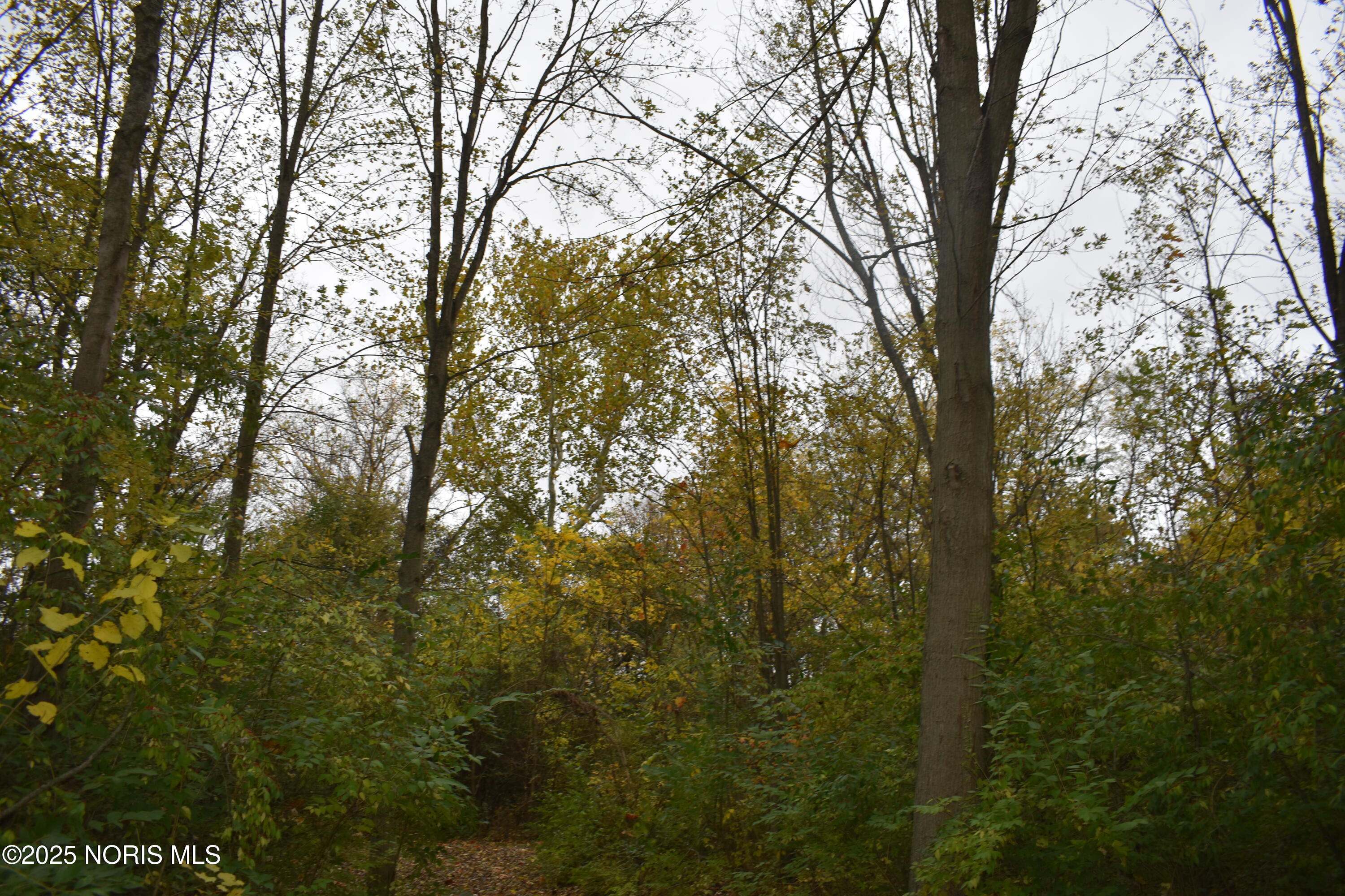 9340 Stitt Road Whitehouse, OH 43571 - Photo 36 of 50 November 20 RE (35)