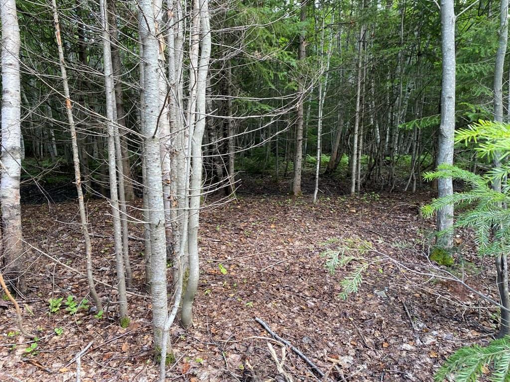 Lot 4 East Road Greenville, ME 04441 - Photo 3 of 19 IMG_3082