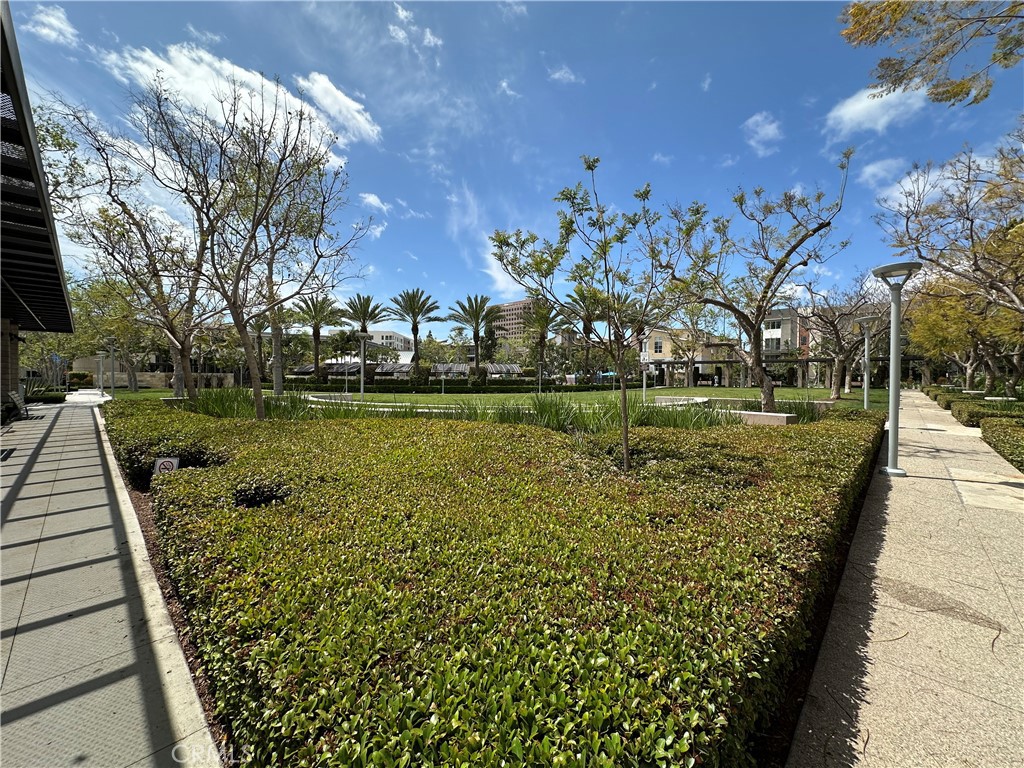 61 Gramercy Irvine, CA 92612 - Photo 23 of 33 a view of a park with large trees