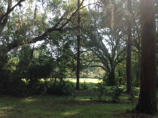 360 Silver Lake Road Monticello, FL 32344 - Photo 24 of 26 Gallery Image 24