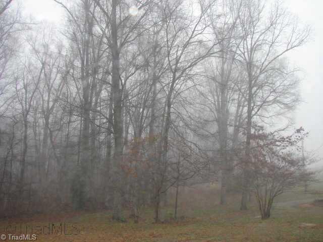 6118 Monnett Road Julian, NC 27283 - Photo 2 of 9 Other.
