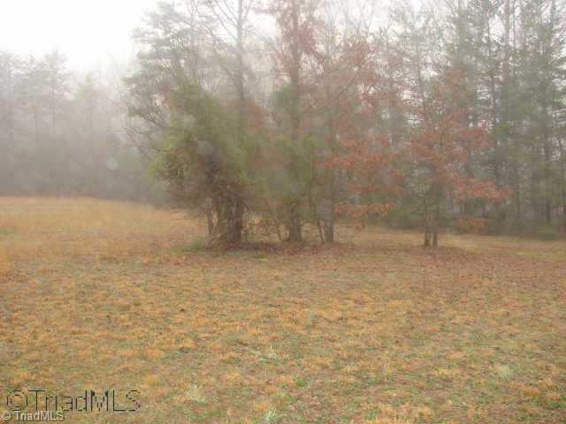 6118 Monnett Road Julian, NC 27283 - Photo 3 of 9 Other.