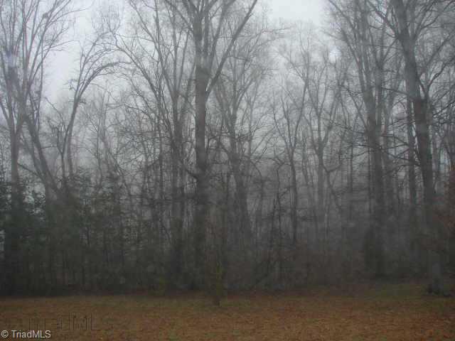 6118 Monnett Road Julian, NC 27283 - Photo 7 of 9 Other.