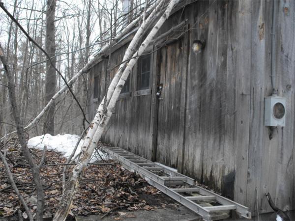 17 Hunt Road Hawley, MA 01339 - Photo 15 of 19 a view of a pathway of a house