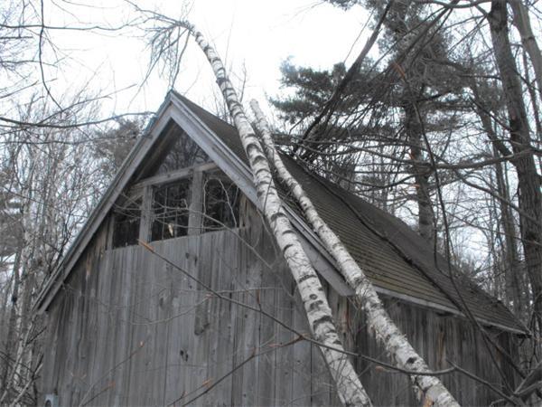 17 Hunt Road Hawley, MA 01339 - Photo 16 of 19 a house with trees in front of it