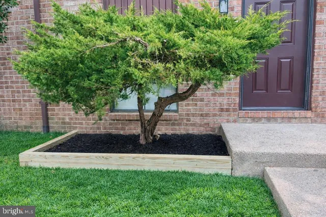 a view of outdoor space yard and swimming pool