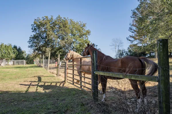 a view of a yard with a table and chair