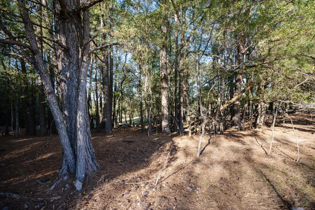 a view of outdoor space with trees