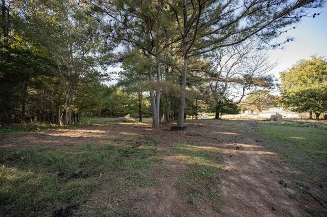 a view of outdoor space with trees