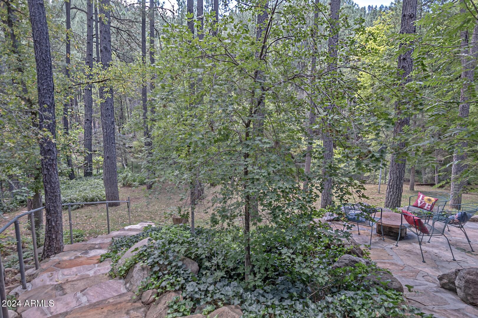 522 Buenagua Road Payson, AZ 85541 - Photo 54 of 74 IMG_ 44