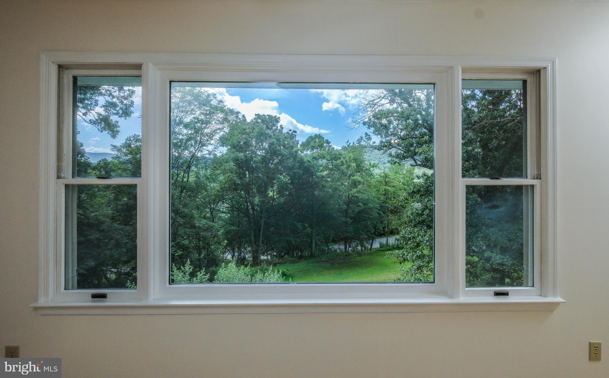 22 Wealthy Road Linden, VA 22642 - Photo 12 of 92 What a picture of beauty from picture window