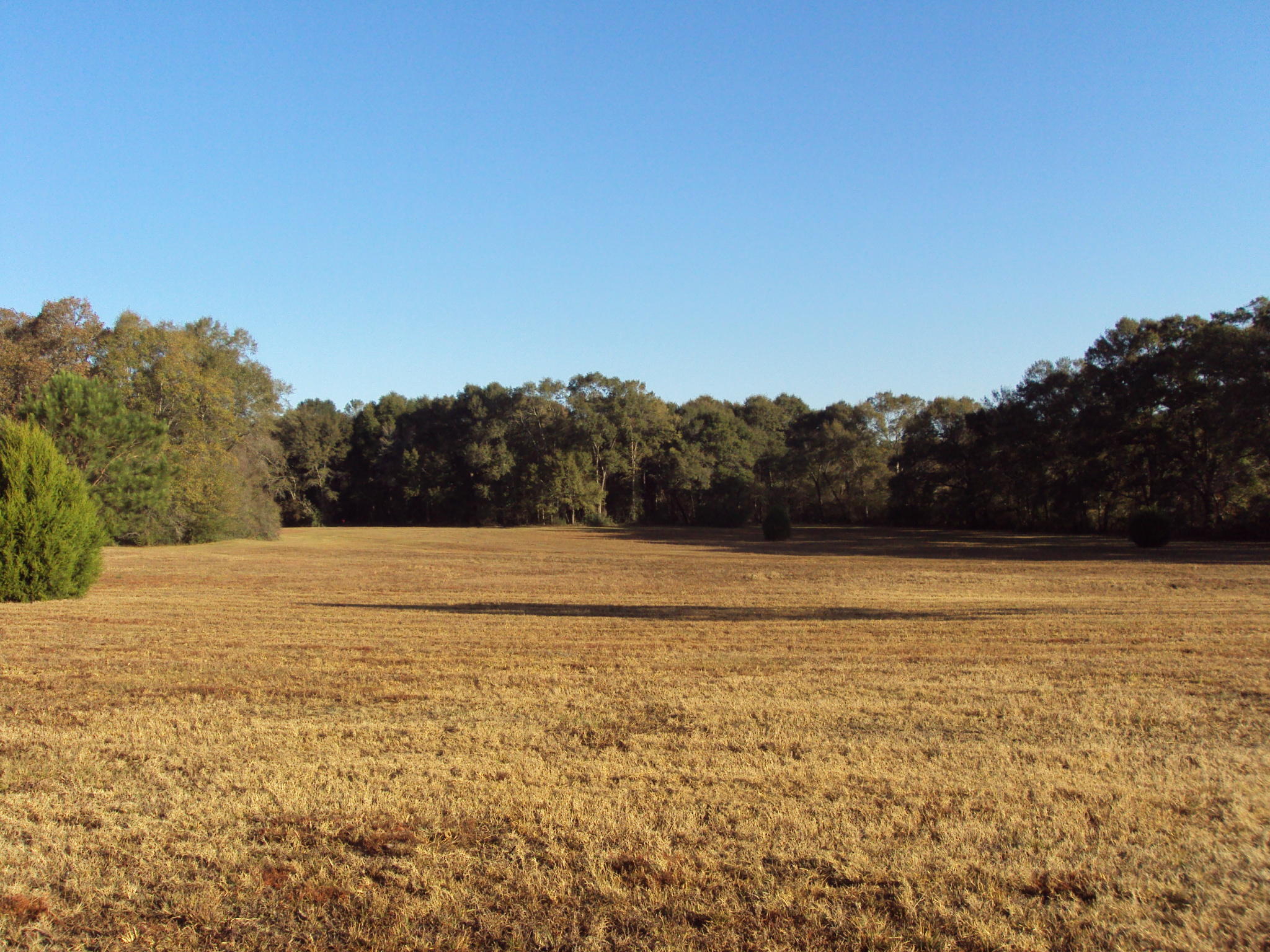 1781 Vinson Ray Road Baker, FL 32531 - Photo 1 of 3 Gallery Image 1