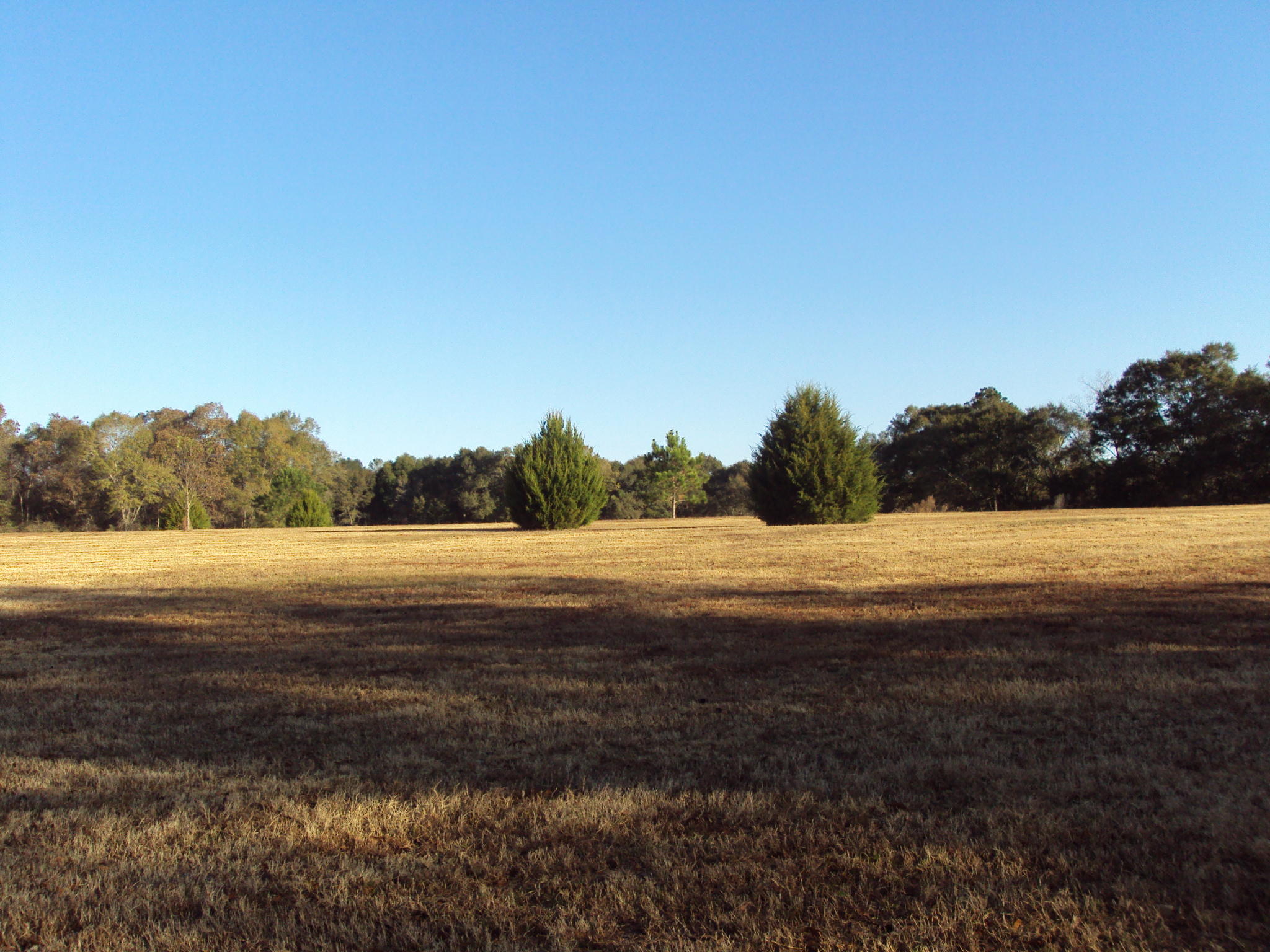 1781 Vinson Ray Road Baker, FL 32531 - Photo 2 of 3 Gallery Image 2