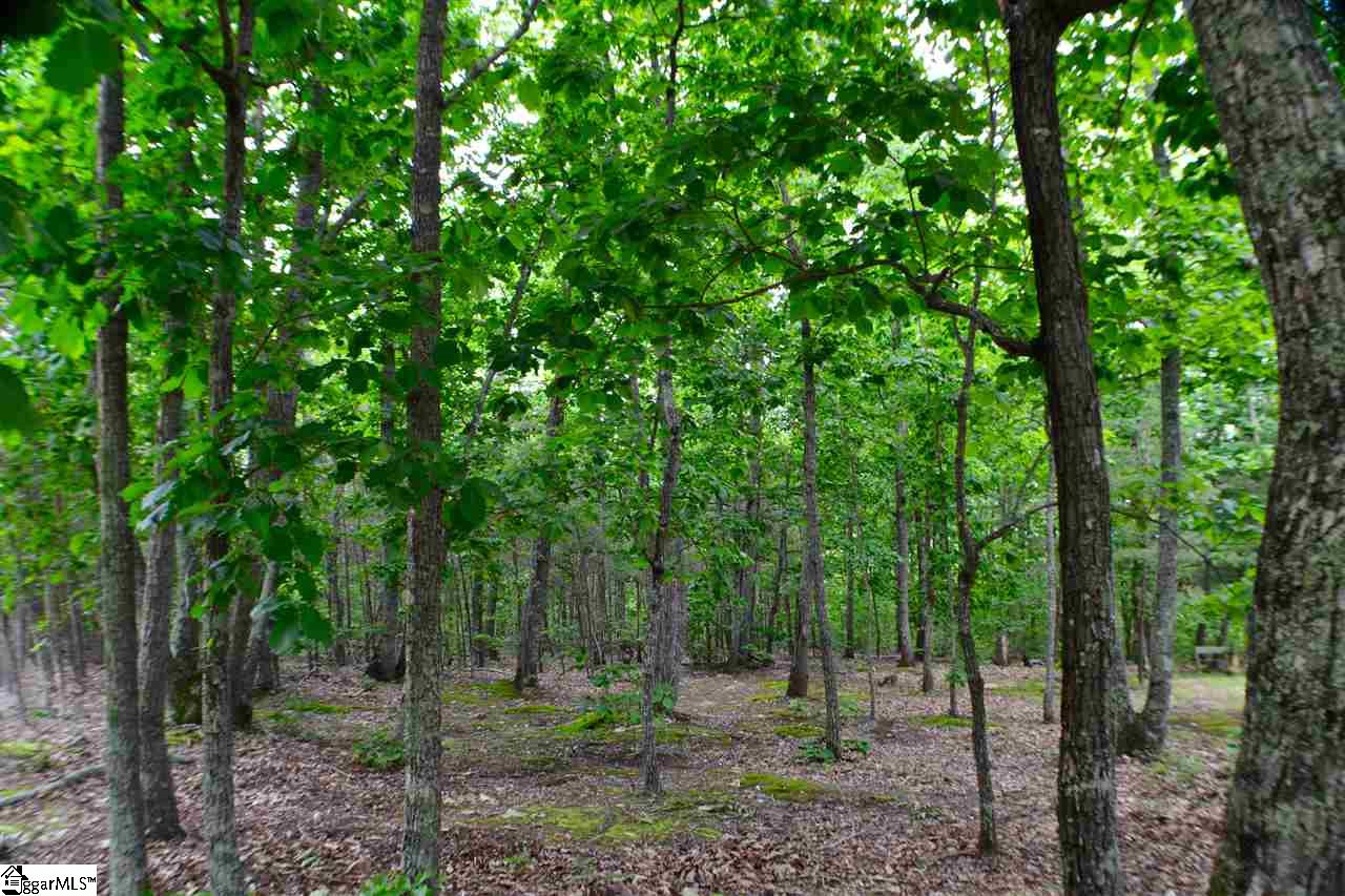 8 A Red Hill Rd Spur Landrum, SC 29356 - Photo 2 of 5
