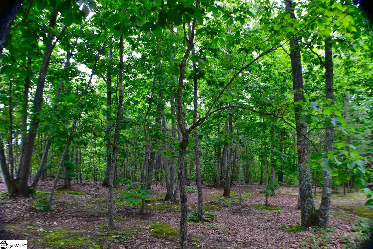 8 A Red Hill Rd Spur Landrum, SC 29356 - Photo 4 of 5