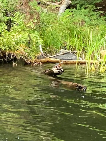 $475,000 | 201 Loon Pond Road, Sabattus, ME 04280