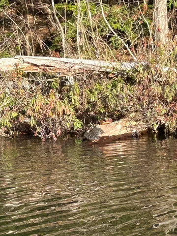 $475,000 | 201 Loon Pond Road, Sabattus, ME 04280