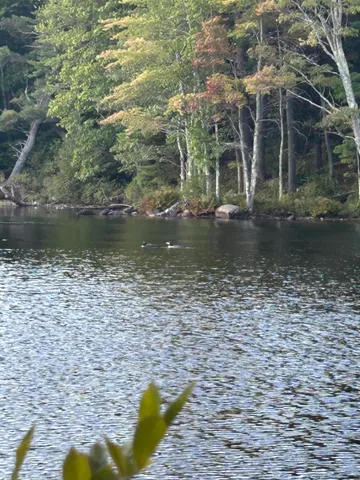 $475,000 | 201 Loon Pond Road, Sabattus, ME 04280