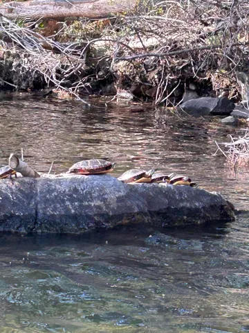 $475,000 | 201 Loon Pond Road, Sabattus, ME 04280