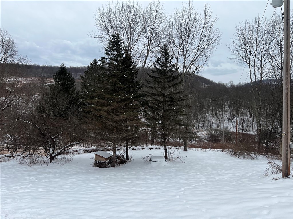 1121 Kiff Brook Road Kortright, NY 13739 - Photo 19 of 20