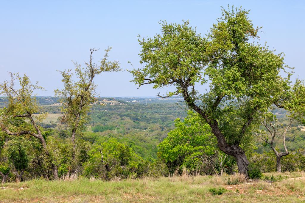 Lot 196 North N Flt Unit 196