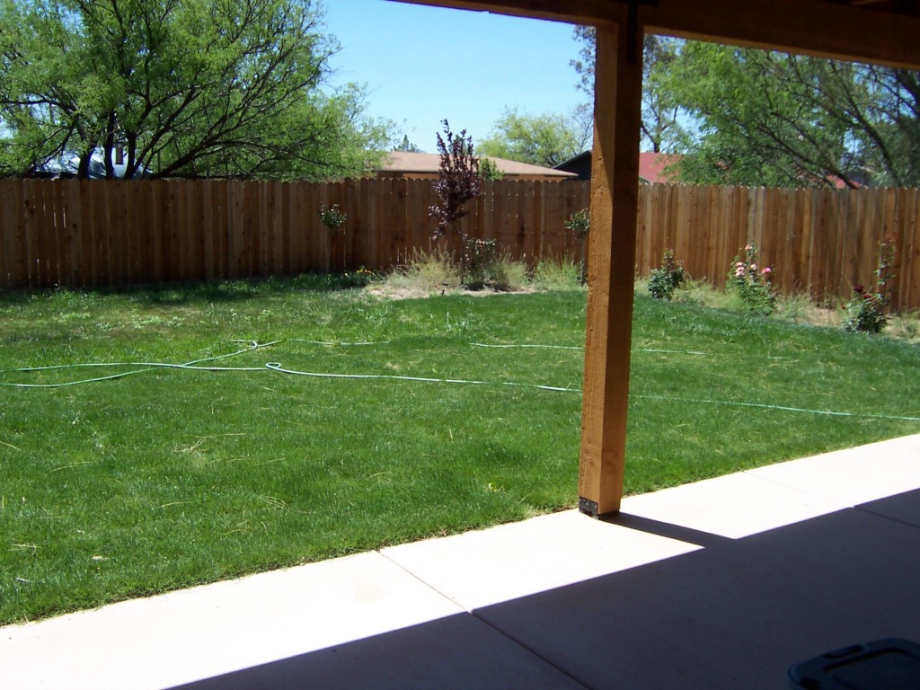 409 Curry Street Rio Rico, AZ 85648 - Photo 10 of 11 a view of backyard with wooden fence