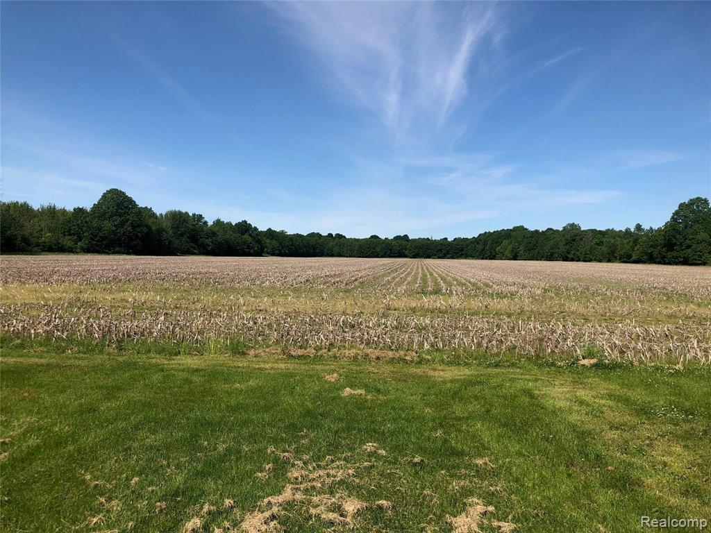 3663 Kilgore Road Avoca, MI 48006 - Photo 47 of 57