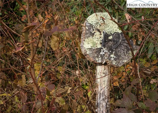 $59,000 | Tbd Lot 19 Tbd Lane, Todd, NC 28684