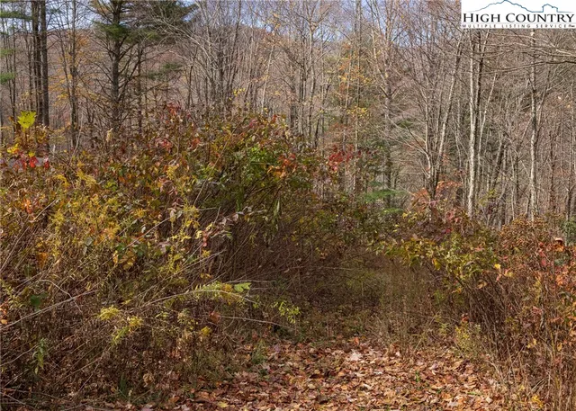 $59,000 | Tbd Lot 19 Tbd Lane, Todd, NC 28684